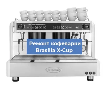 Чистка кофемашины Brasilia X-Cup от накипи в Нижнем Новгороде